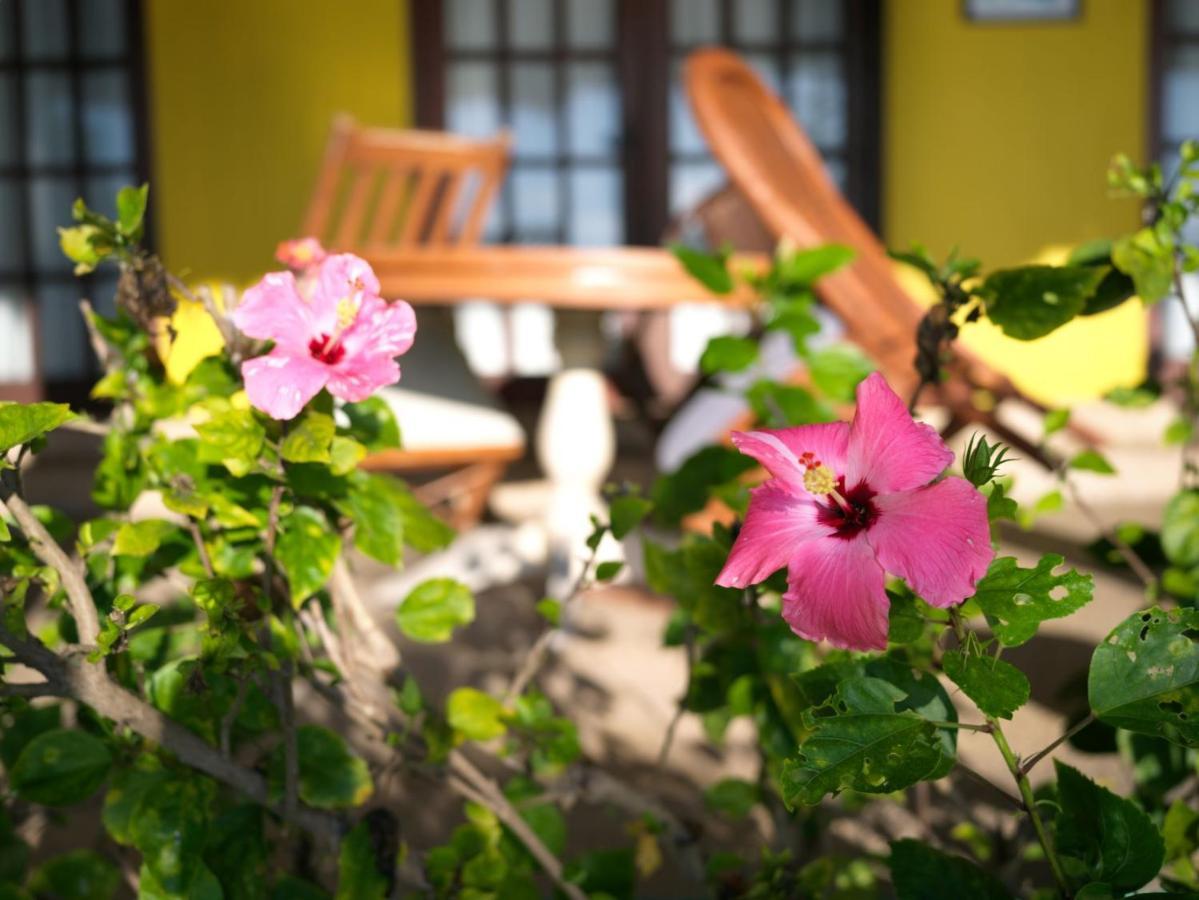 Las Flores Beachside Hotel Catmon Екстериор снимка